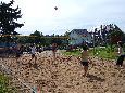Beach Volleyball 2007