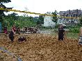 Beach Volleyball 2010