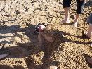 Beach Volleyball 2011