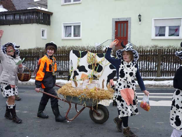 Fasching 2010 - Bild 11