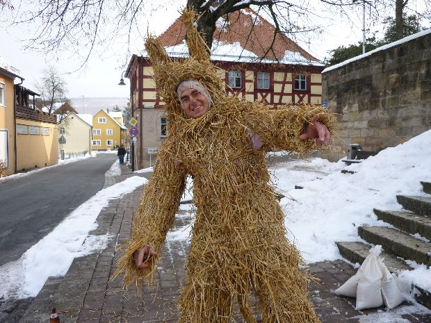 Fasching 2010 - Bild 28