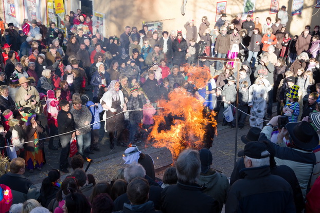 Fasching 2011 - Bild 101