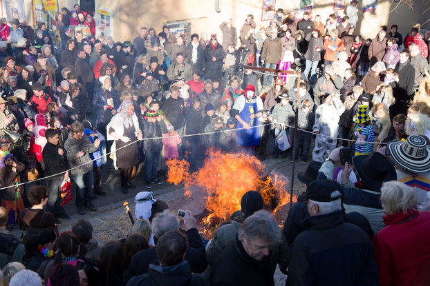 Fasching 2011 - Bild 102