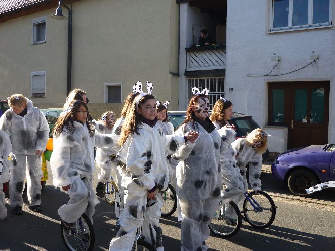 Fasching 2011 - Bild 146