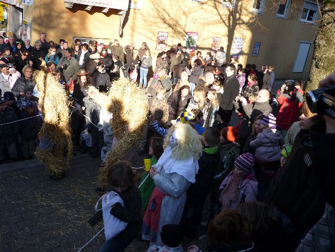 Fasching 2011 - Bild 21