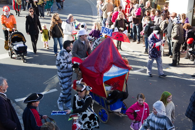 Fasching 2011 - Bild 46