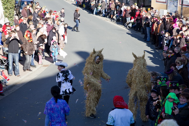 Fasching 2011 - Bild 48