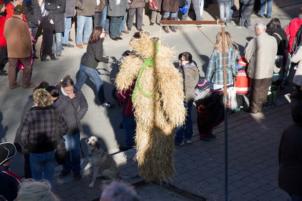 Fasching 2011 - Bild 65