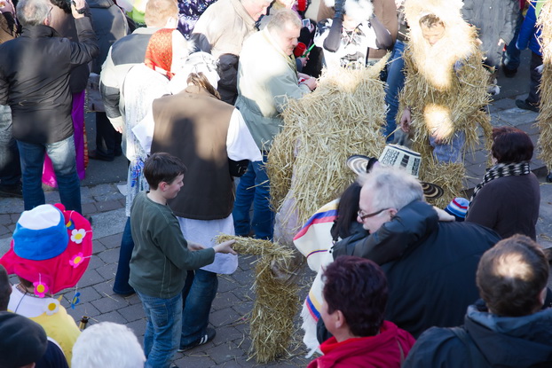 Fasching 2011 - Bild 75