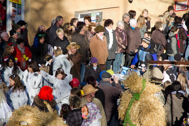 Fasching 2011 - Bild 77
