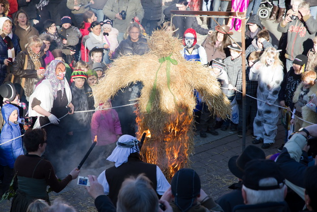 Fasching 2011 - Bild 88