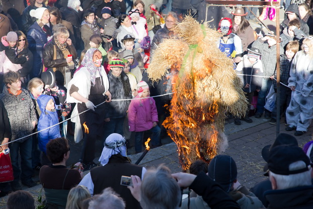 Fasching 2011 - Bild 91