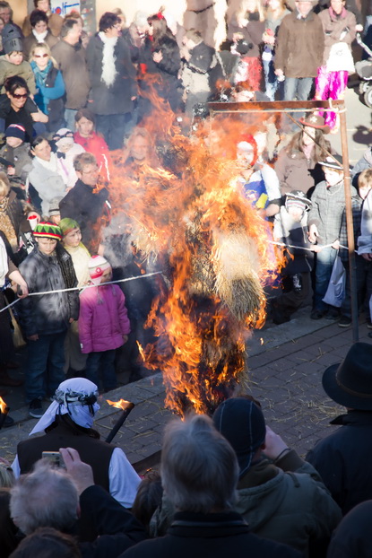 Fasching 2011 - Bild 95