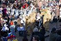 Fasching 2011