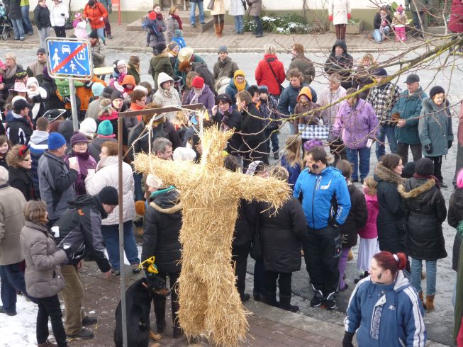 Fasching 2013 - Bild 54