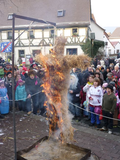 Fasching 2013 - Bild 77