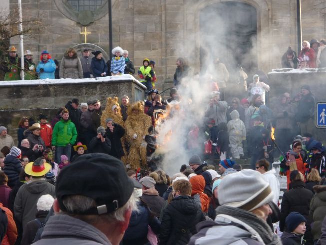 Fasching 2013 - Bild 82